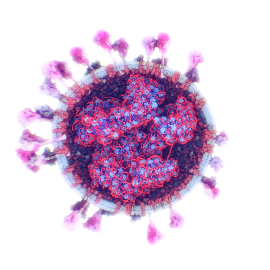 virus SARS-CoV-2 Covid-19