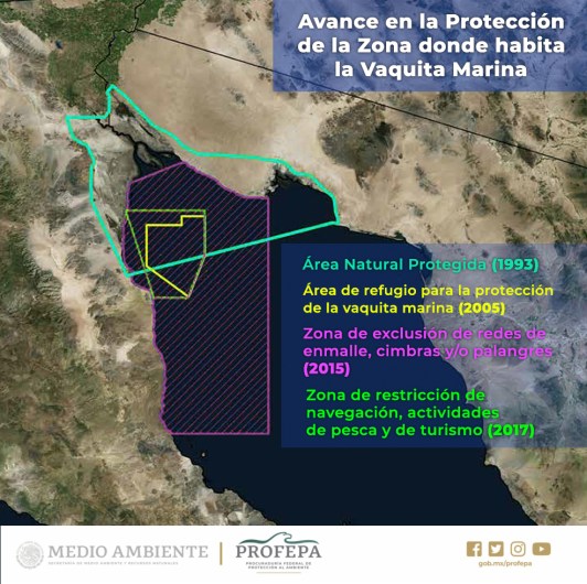 conservación de vaquita marina en Alto Golfo de California