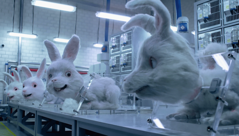 pruebas cosméticas en animales en México