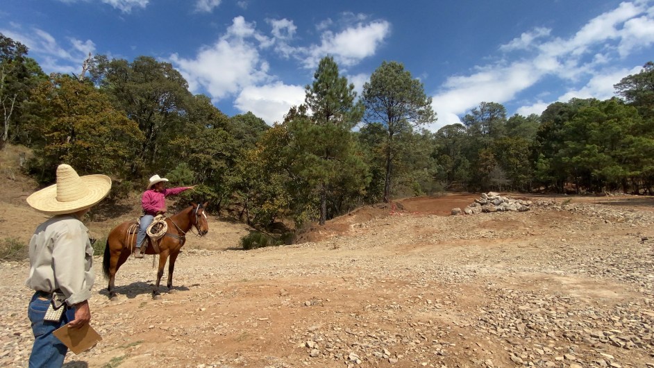 ZONAS FORESTALES MICHOACÁN