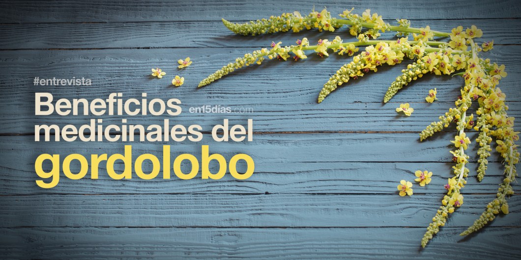 hígado graso no alcohólico