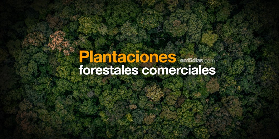 plantaciones forestales comerciales