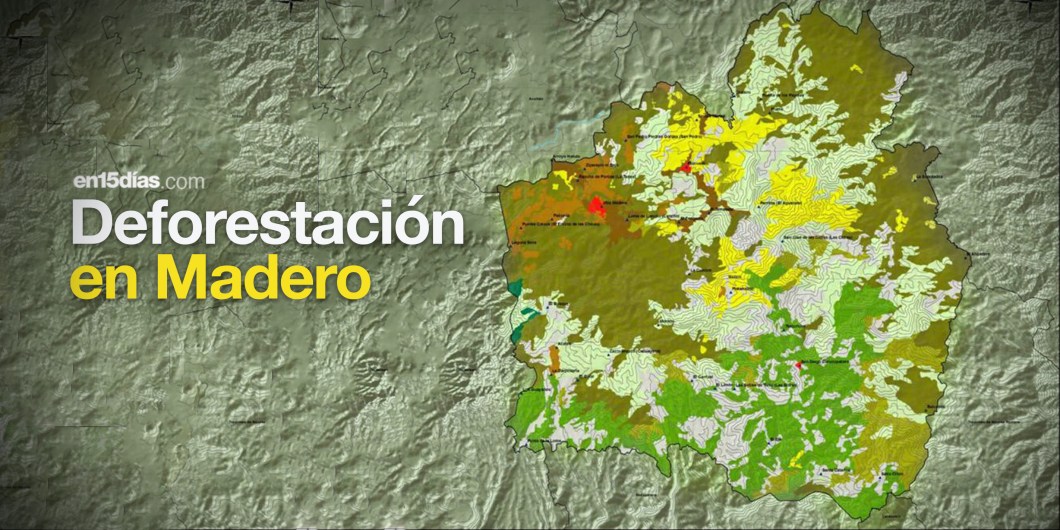 Tala ilegal y cambio de uso de suelo en bosques de Villa Madero