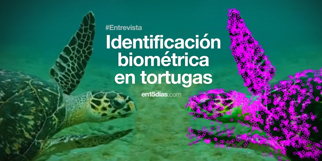 reconocimiento de tortugas para la conservación en Michoacán