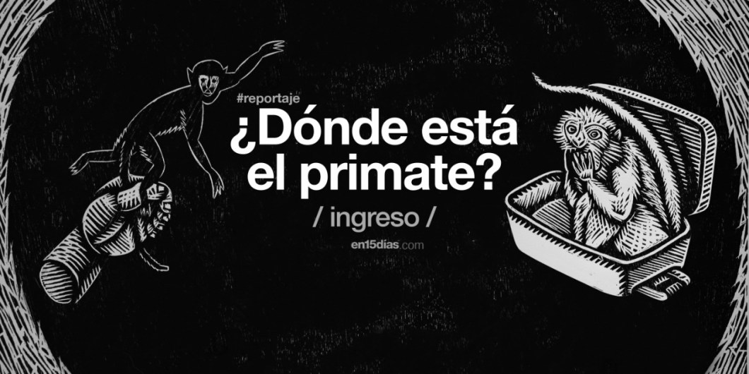 Birmex ingresó primates no humanos