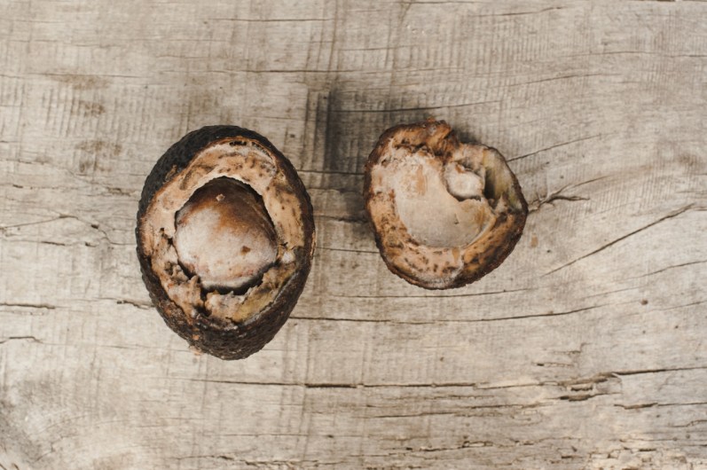 exportaciones de aguacate Michoacán