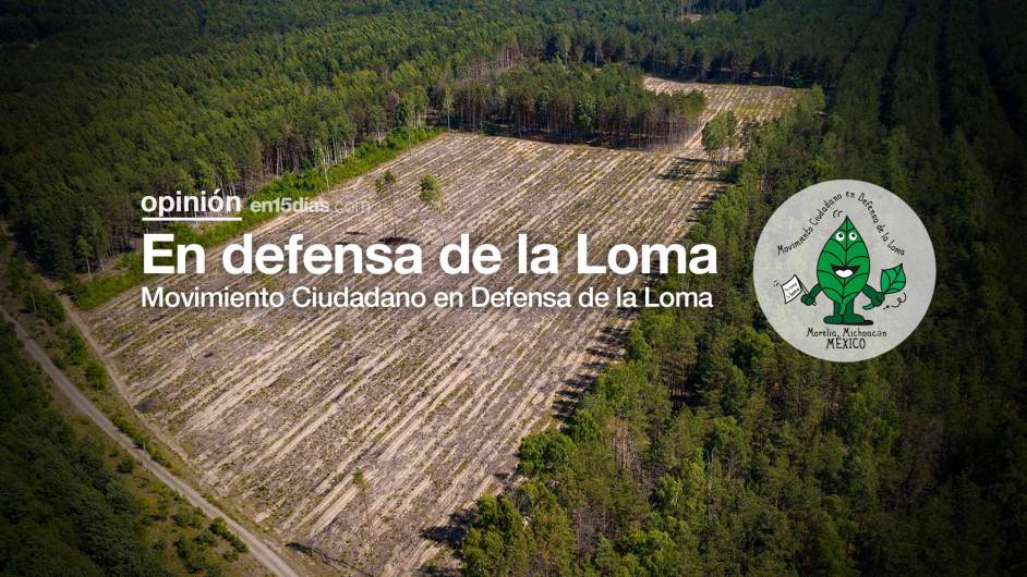 ambio de uso de suelo en Michoacán de 2000 a 2021