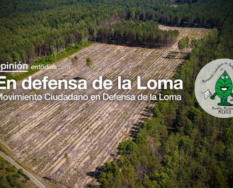 ambio de uso de suelo en Michoacán de 2000 a 2021