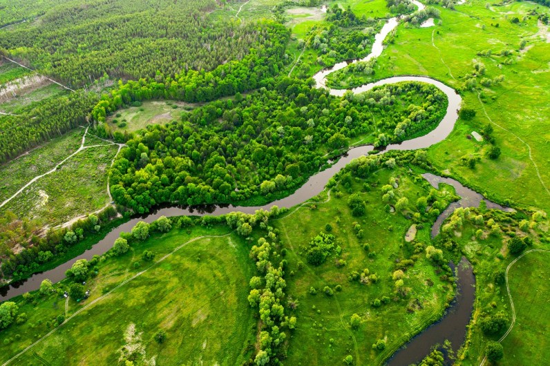 que son los humedales