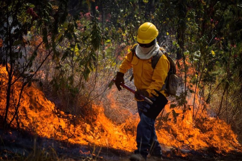 Tipos de incendios forestales