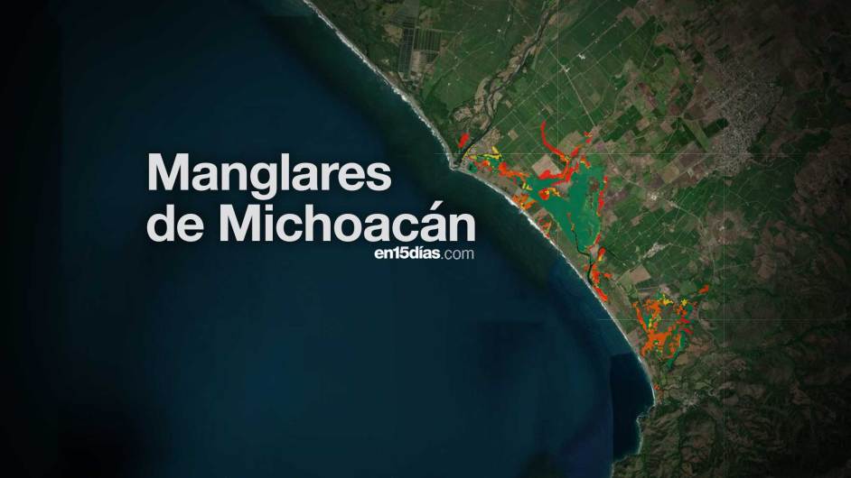 MANGLARES de MICHOACAN