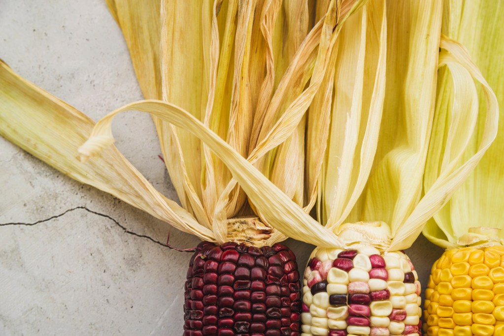 El Totomoxtle Un Secreto Cultural